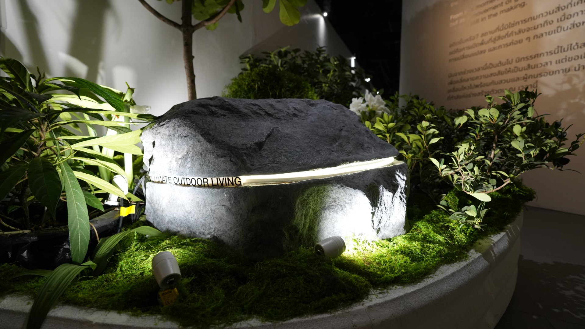 Micro ALPHA Round spotlight illuminating stone and moss garden display