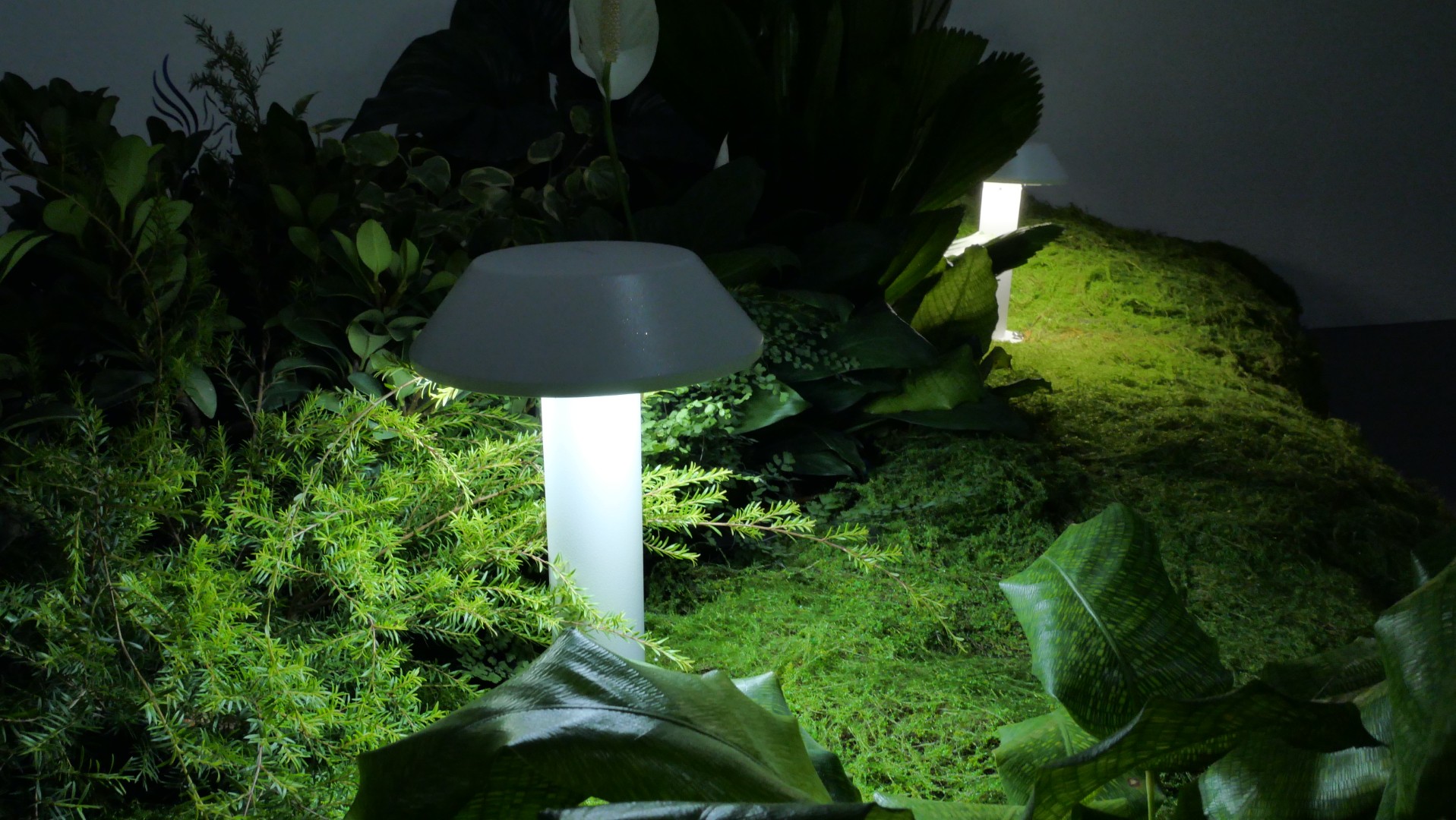 Mini CAP bollard light illuminating moss garden pathway at exhibition