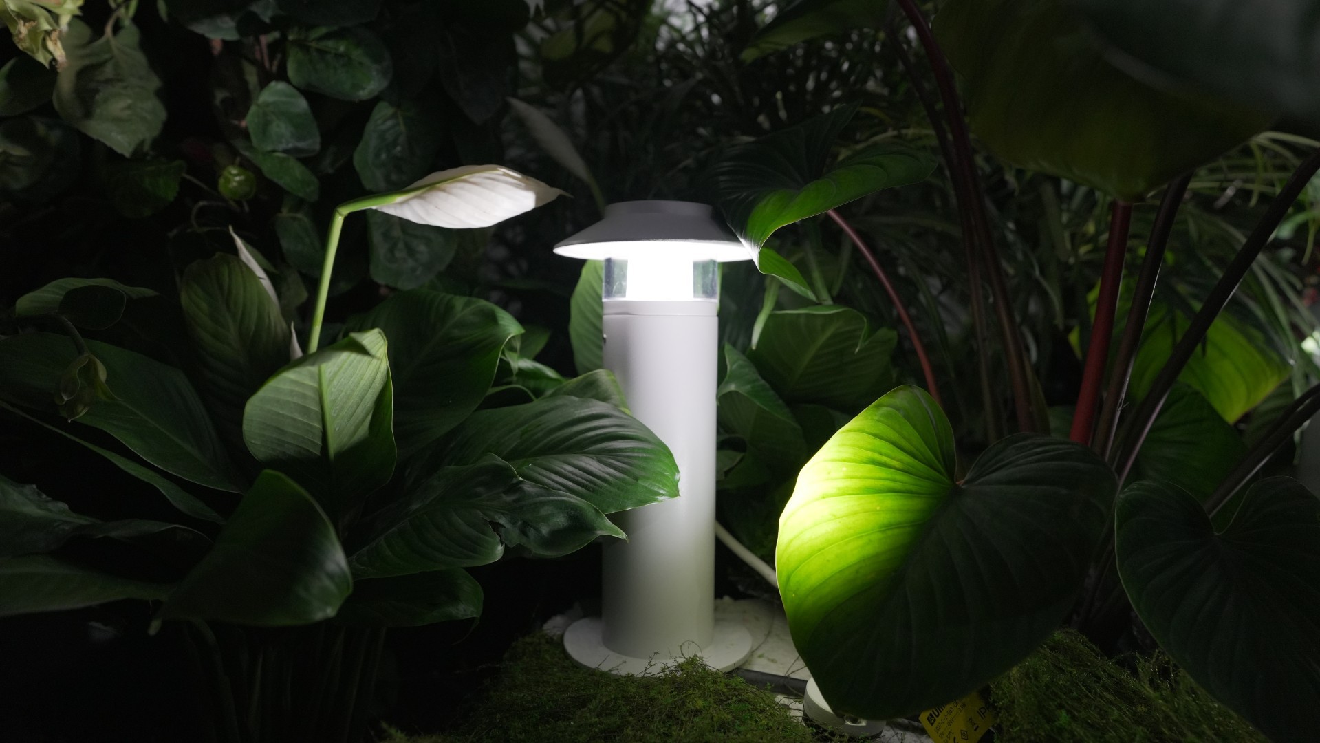 CASA bollard light illuminating tropical plants in garden display