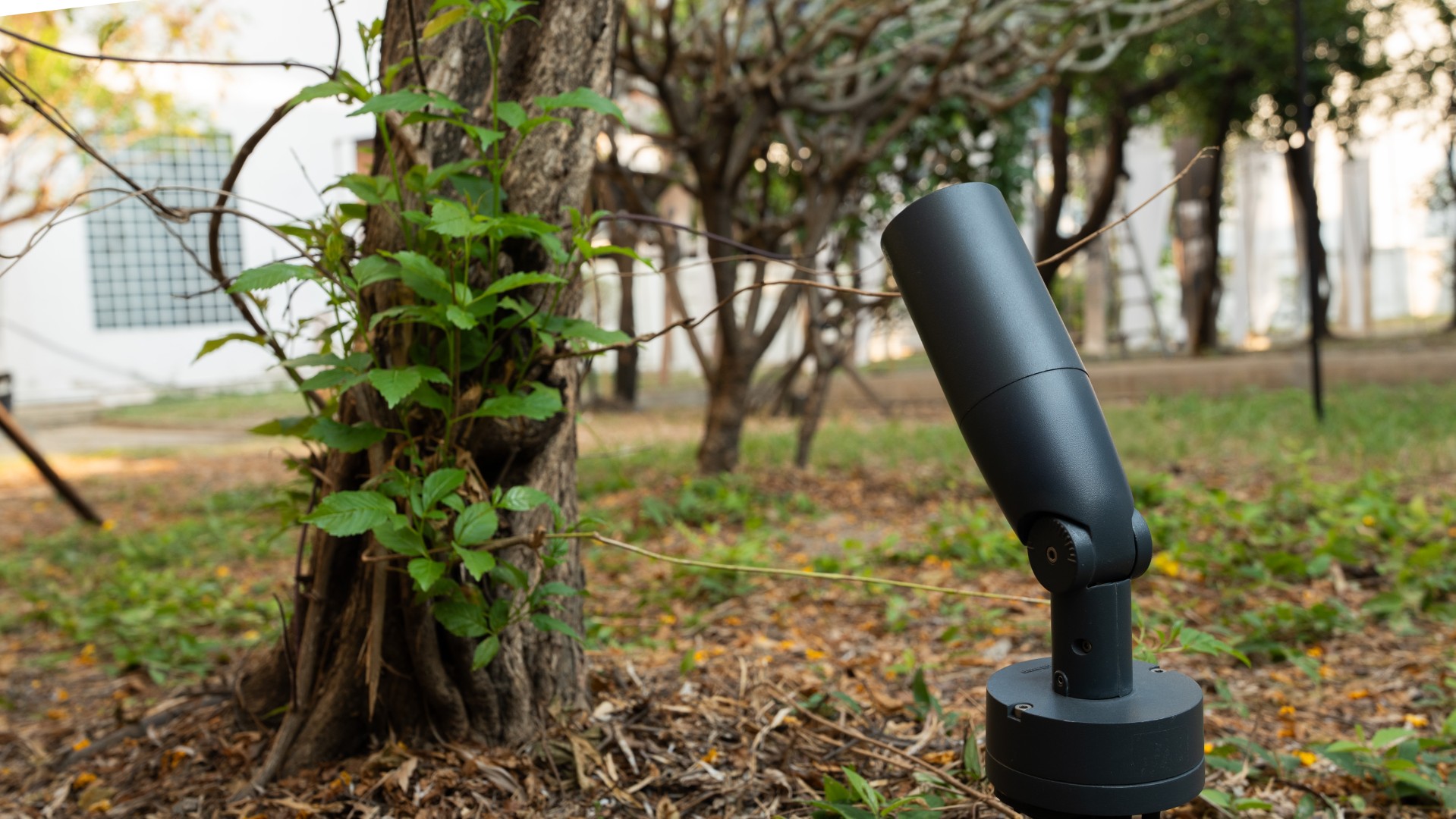 TELESCOPE outdoor spotlight highlighting tree trunks and landscape elements at Echoes of Memory exhibition.