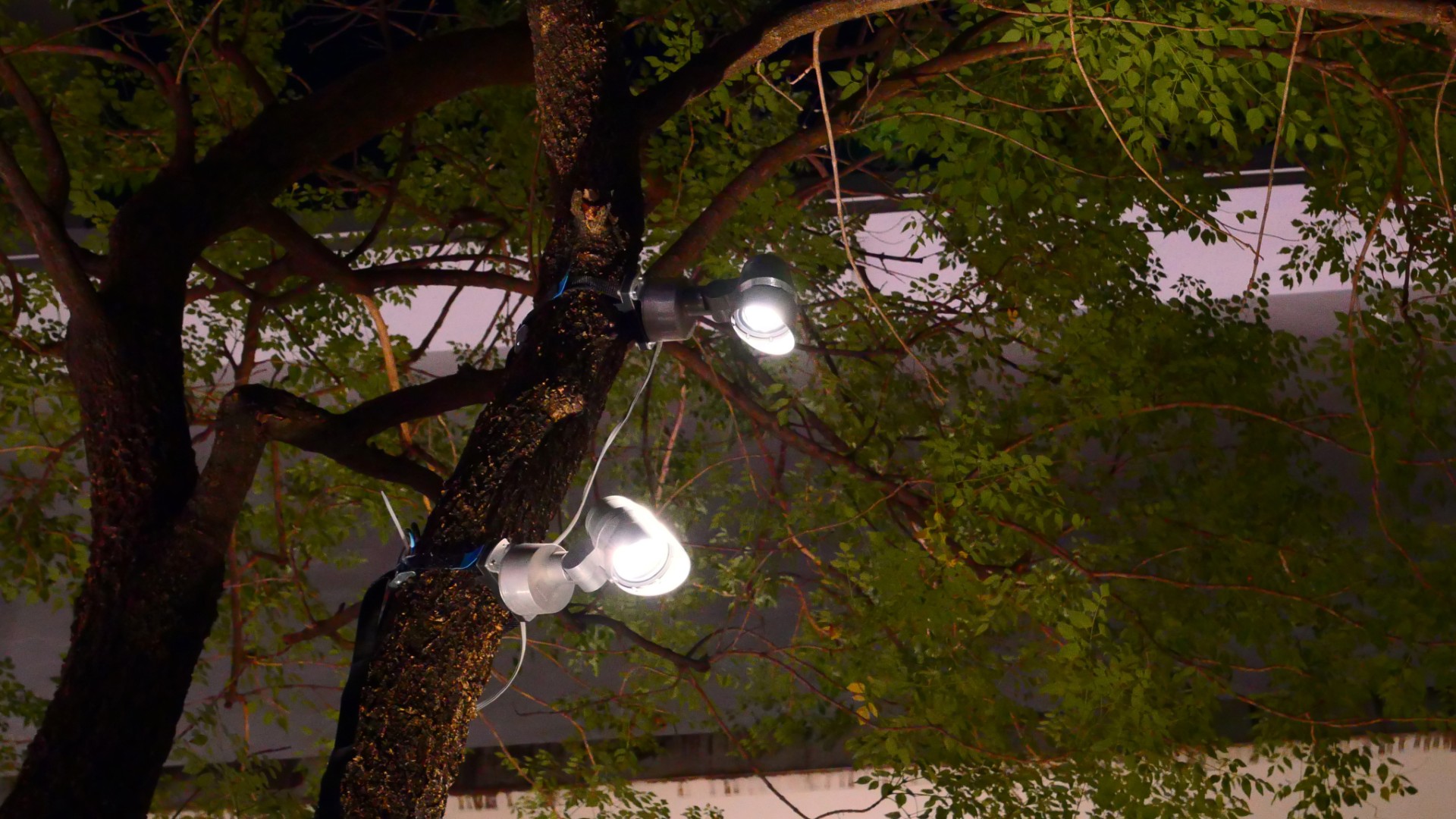 Outdoor tree spotlight installation for landscape lighting at night