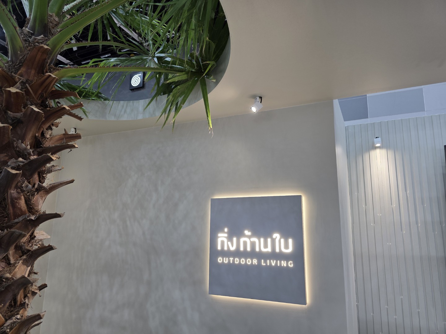 A close-up of the “กิ่งก้านใบ OUTDOOR LIVING” sign with a palm tree extending through a ceiling cut-out.