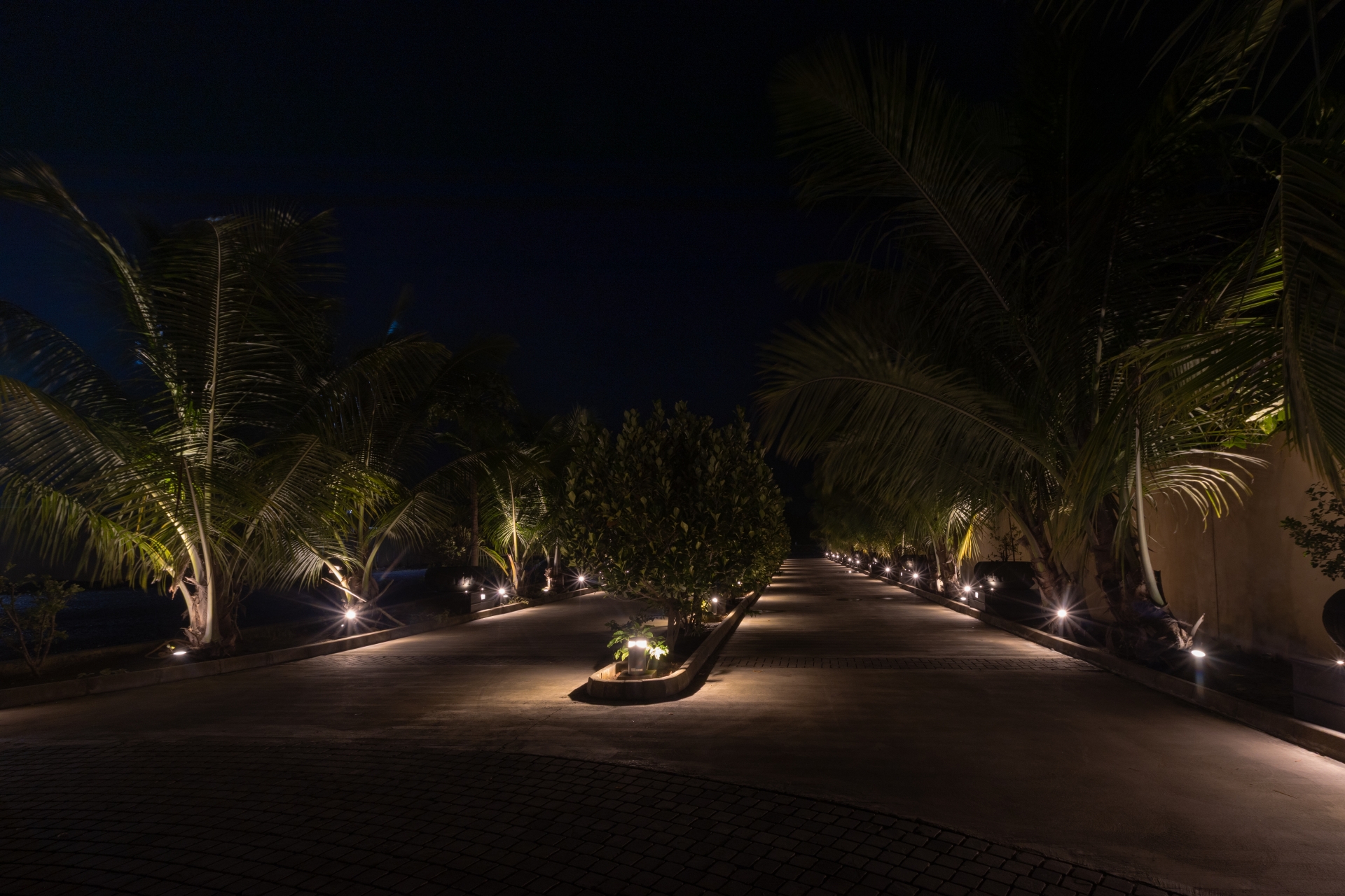 Tree-lined walkway at Awadh Ayuska in Navsari illuminated with Unilamp pathway luminaires for clear nighttime lighting.