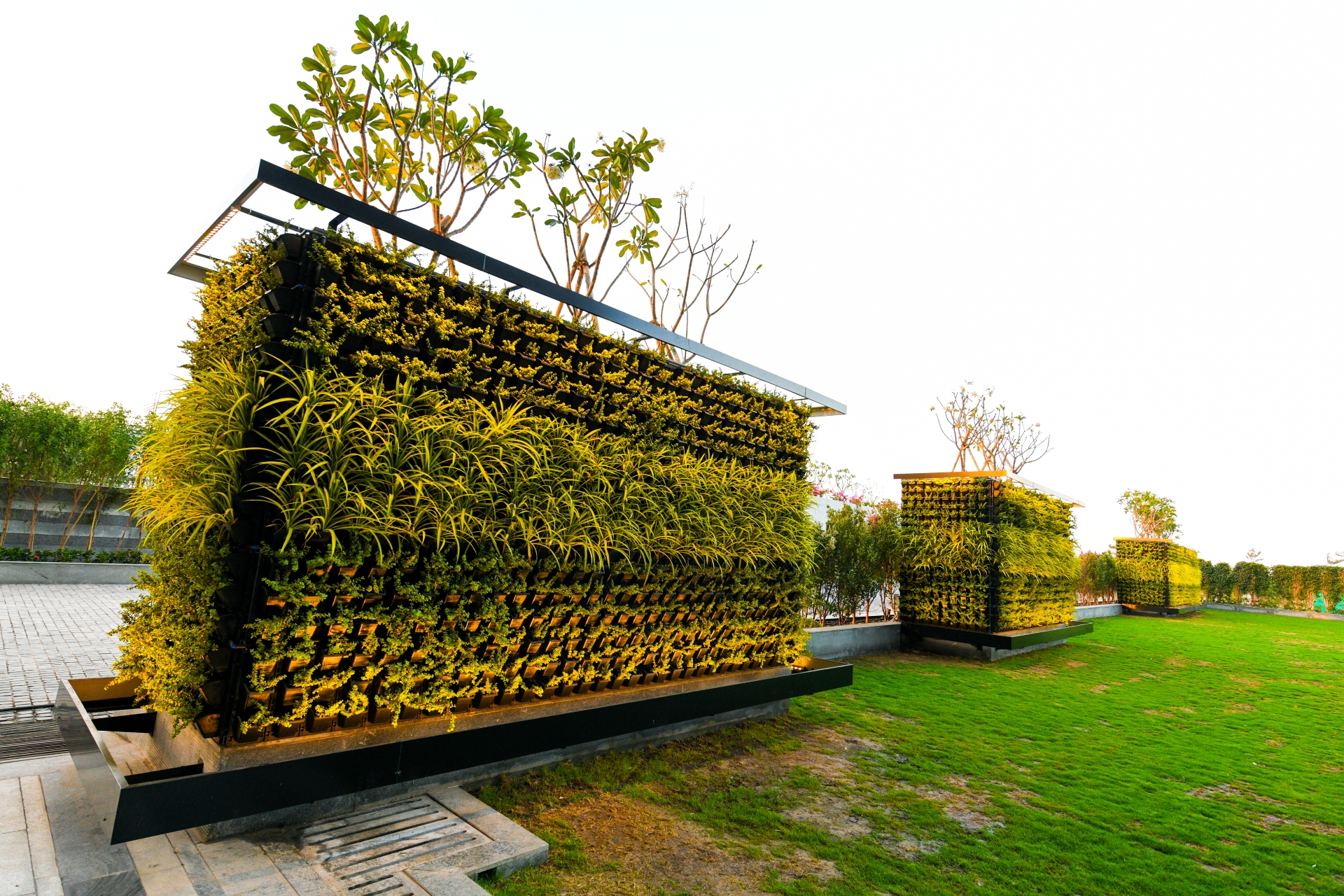 Vertical garden installation with lush greenery at Utopia landscape