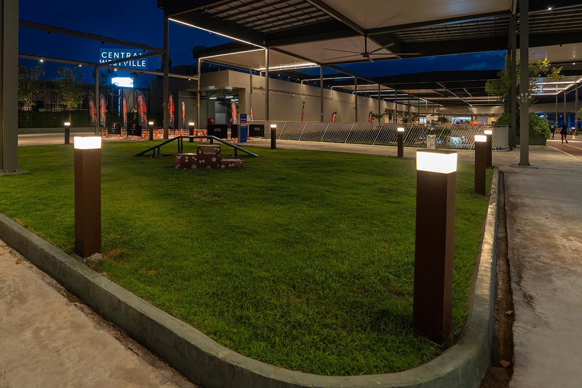 Contemporary outdoor lighting in landscaped commercial plaza at night