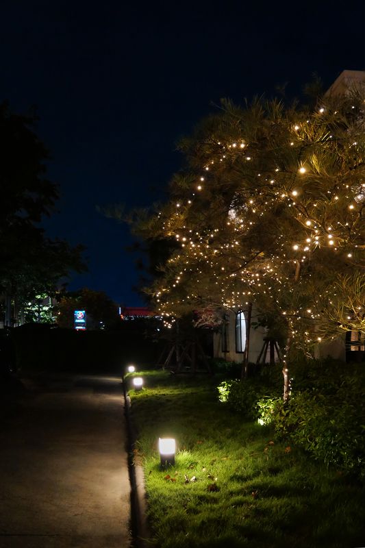 Outdoor pathway illuminated by PROTON SQUARE bollards