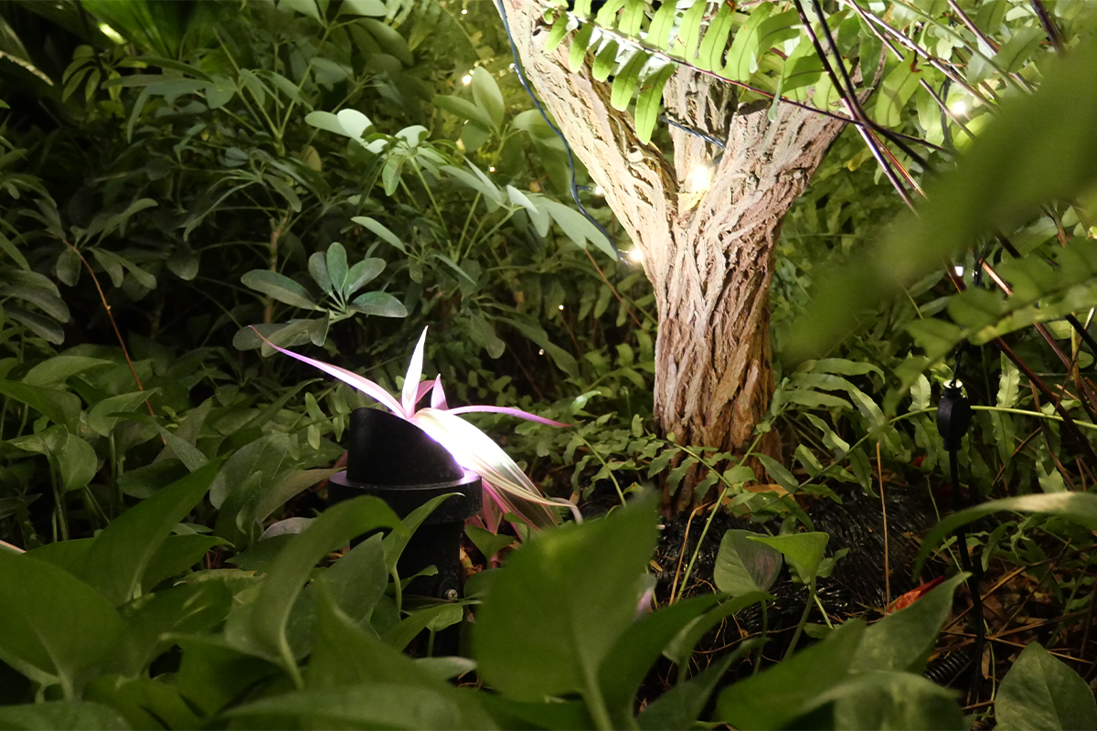 NOVA CAP spotlight accenting garden planting area